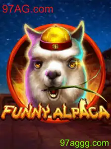 FunnyAlpaca